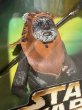 画像2: Star Wars/Action Figure(Wicket the Ewok/MIB) SW-182 (2)