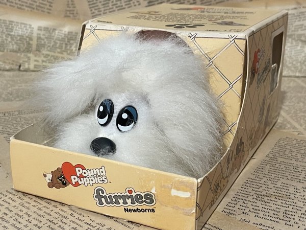画像1: Pound Puppies/Plush(80s/MIB) FO-195 (1)
