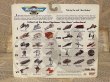 画像4: Star Wars//Micro Machines(Set III/MOC) SW-190 (4)