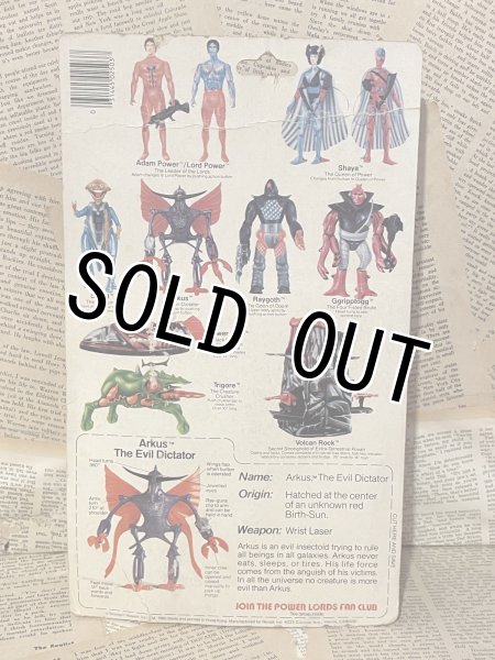 画像4: Power Lords/Action Figure(Arkus/MOC) FA-327 (4)