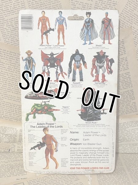 画像4: Power Lords/Action Figure(Adam Power/MOC) FA-329 (4)