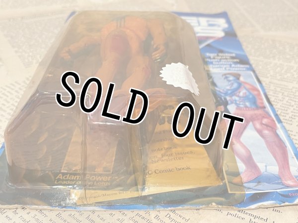 画像5: Power Lords/Action Figure(Adam Power/MOC) FA-329 (5)