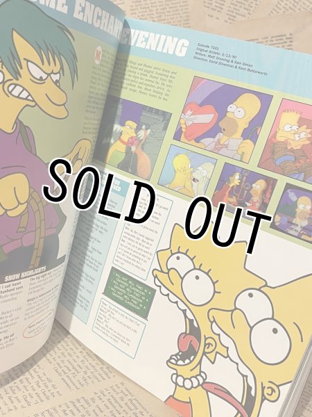 画像4: The Simpsons/Episode Guides(00s) BK-392 (4)