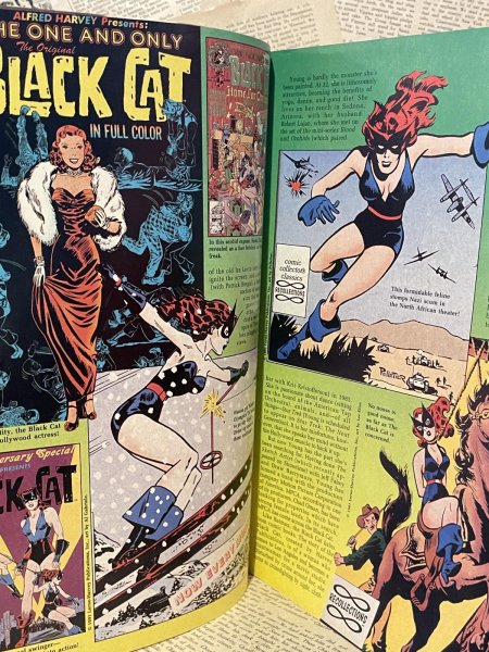 画像4: Comics Scene Spectacular Magazine(1992/#7) BK-400 (4)