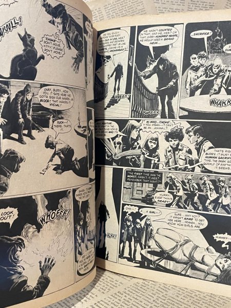 画像3: Creepy Magazine(1978/#94) BK-396 (3)