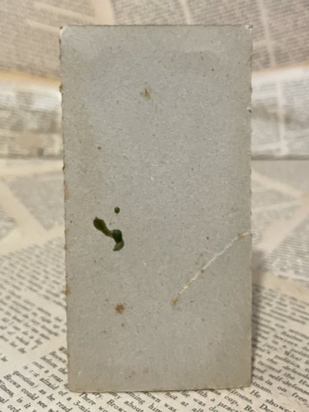 画像3: G.I. Joe/Action Figure(Wild Bill/v1/MOC) GI-031 (3)