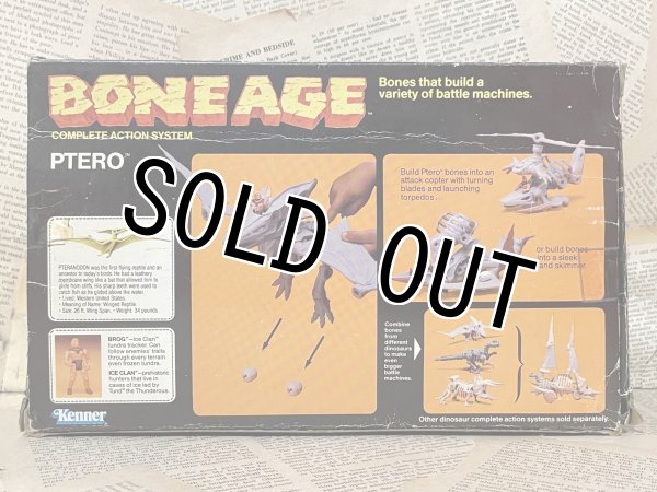 画像3: Bone Age/Action Figure(Ptero/with box) OA-190 (3)