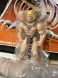 画像7: Bone Age/Action Figure(Ptero/with box) OA-190 (7)