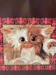画像6: Gremlins/Gizmo Plush(90s/Quiron/Small) GR-061 (6)
