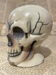 画像2: Skull/Coin bank(60s) MT-422 (2)