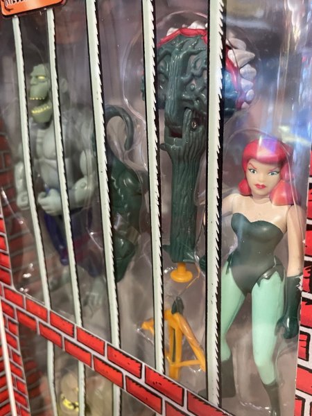 画像7: BATMAN/Action Figure(Rogues Gallery/MIB) DC-278 (7)