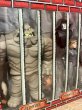 画像8: BATMAN/Action Figure(Rogues Gallery/MIB) DC-278 (8)