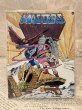 画像5: MOTU/Action Figure(He-Man/with Comic) FA-421 (5)