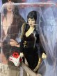 画像6: Elvira Mistress of the Dark/Figure set(90s/MOC) MT-438 (6)