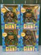 画像1: TMNT/Giant Turtles Action Figure set(90s/MIB) TM-364 (1)