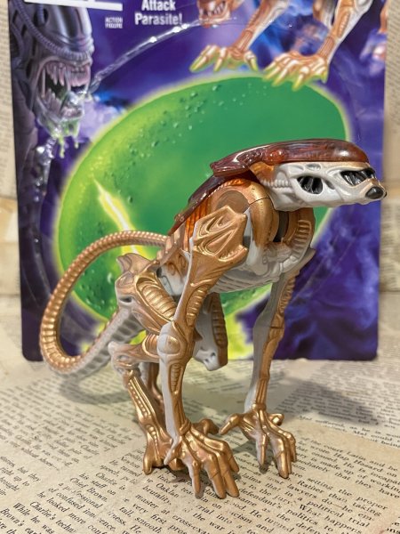 画像1: Aliens/Action Figure(Panther Alien/with card) MO-564 (1)