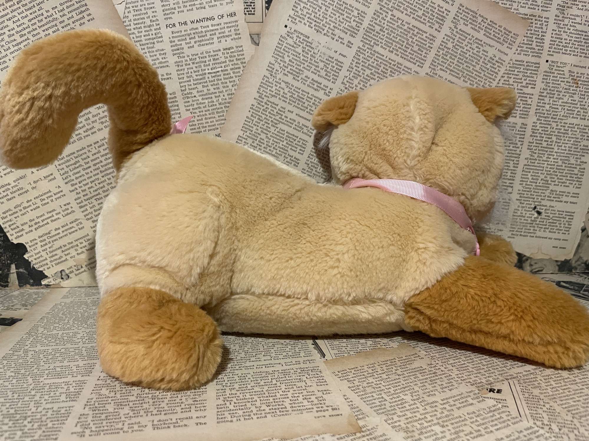 Kitty surprise plush livy deals